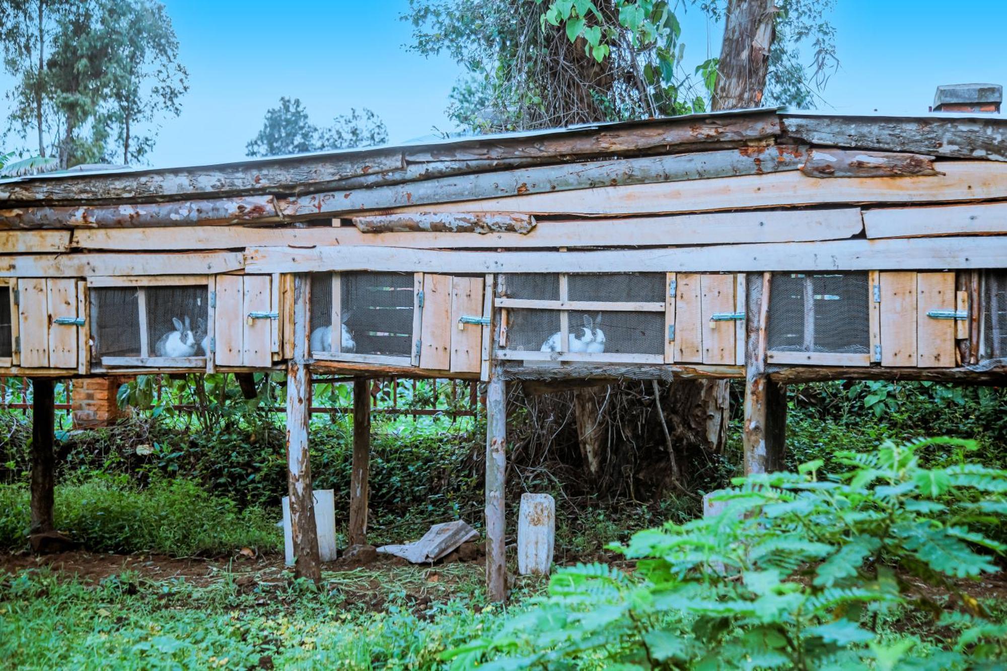 Karisimbi Cave Resort Ruhengeri Exterior photo